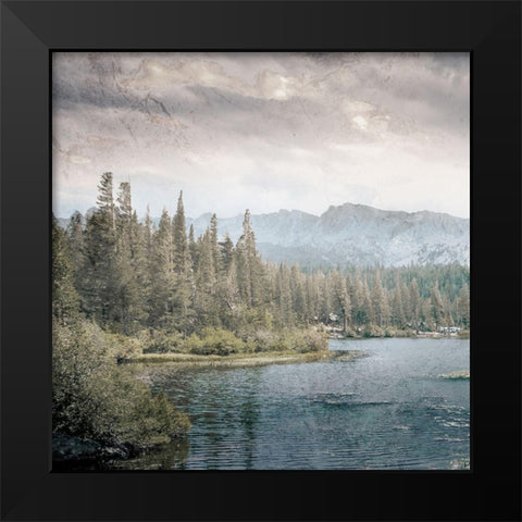 Wilderness Wonders 3 Black Modern Wood Framed Art Print by Prime, Marcus
