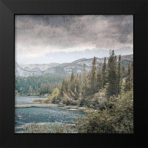 Wilderness Wonders 4 Black Modern Wood Framed Art Print by Prime, Marcus