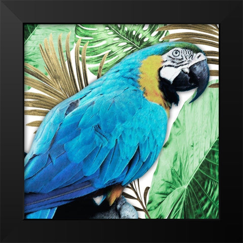 Tropical Views 2 Black Modern Wood Framed Art Print by Prime, Marcus