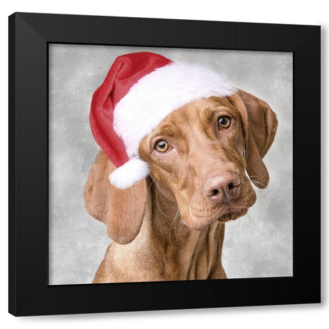 Christmas Pup 1 Black Modern Wood Framed Art Print by Prime, Marcus