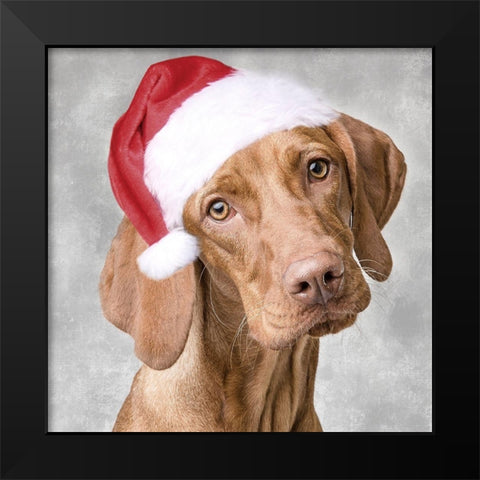 Christmas Pup 1 Black Modern Wood Framed Art Print by Prime, Marcus