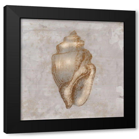 Aged Sea Shells 1 Black Modern Wood Framed Art Print with Double Matting by Prime, Marcus