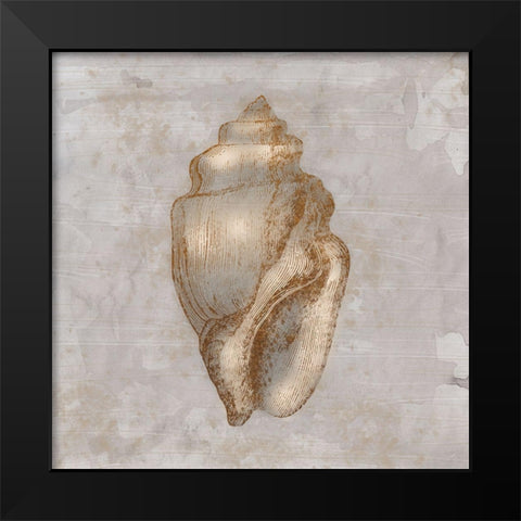 Aged Sea Shells 1 Black Modern Wood Framed Art Print by Prime, Marcus
