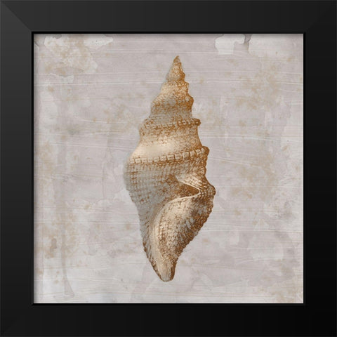 Aged Sea Shells 2 Black Modern Wood Framed Art Print by Prime, Marcus