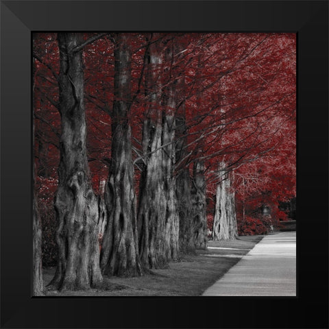 Crimson Forest 1 Black Modern Wood Framed Art Print by Prime, Marcus