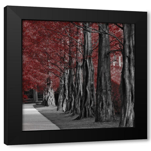 Crimson Forest 2 Black Modern Wood Framed Art Print by Prime, Marcus