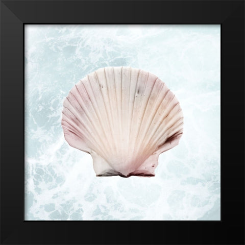 Sunshine Infused Shell 1 Black Modern Wood Framed Art Print by Prime, Marcus