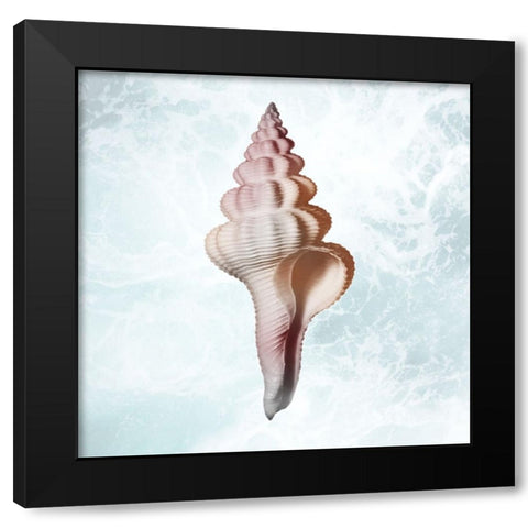 Sunshine Infused Shell 2 Black Modern Wood Framed Art Print by Prime, Marcus