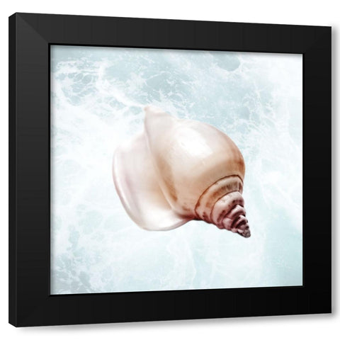 Sunshine Infused Shell 3 Black Modern Wood Framed Art Print by Prime, Marcus