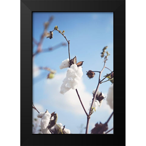 Cotton Fields Black Modern Wood Framed Art Print by Reed, Michele