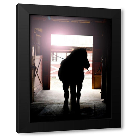 Horse Silhouette Black Modern Wood Framed Art Print with Double Matting by Reed, Michele