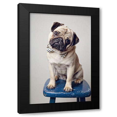 Ari Bowtie Black Modern Wood Framed Art Print by Reed, Michele