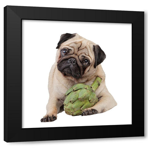Artichoke Black Modern Wood Framed Art Print with Double Matting by Reed, Michele