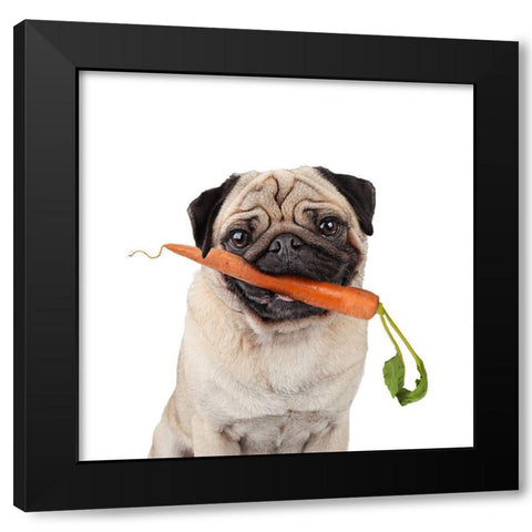 Carrot Black Modern Wood Framed Art Print with Double Matting by Reed, Michele