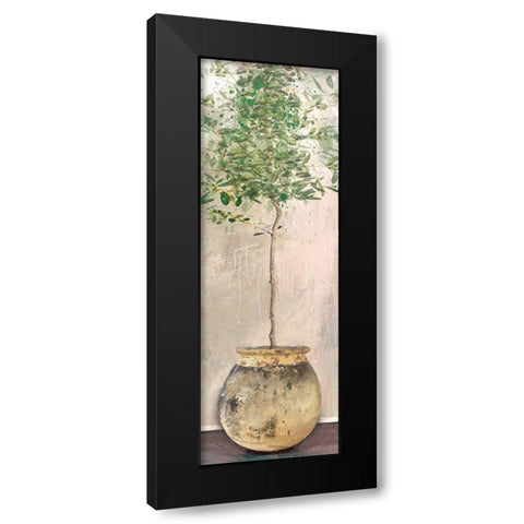Dracaena Black Modern Wood Framed Art Print with Double Matting by Miller, Savannah