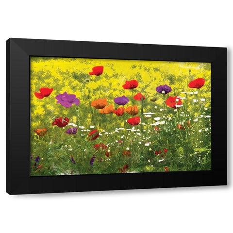 Another Pack Of Poppies Black Modern Wood Framed Art Print with Double Matting by Villa, Mlli