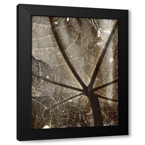 Reach Black Modern Wood Framed Art Print by Villa, Mlli