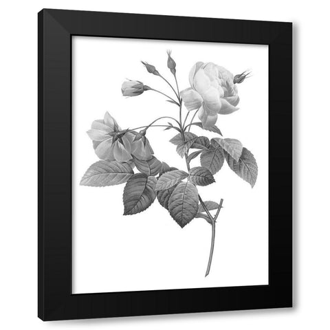 Greyscale Floral Three Black Modern Wood Framed Art Print with Double Matting by Villa, Mlli