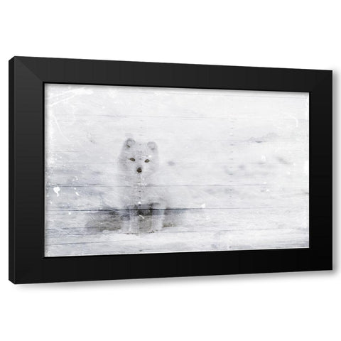 White Fox In The Distance Black Modern Wood Framed Art Print with Double Matting by Villa, Mlli