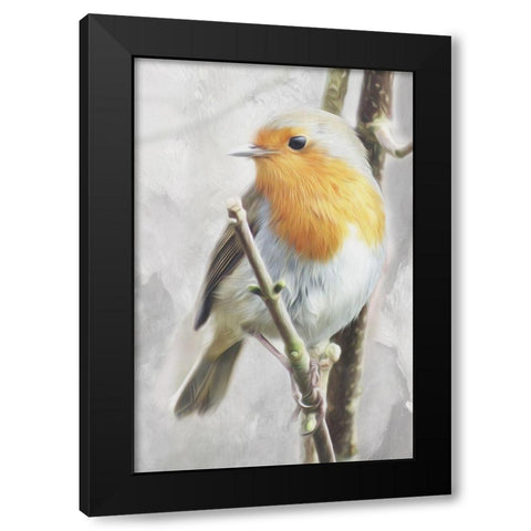 Winter Bird Black Modern Wood Framed Art Print with Double Matting by Villa, Mlli