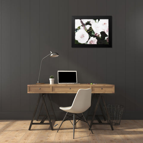 Brights Black Modern Wood Framed Art Print by Villa, Mlli