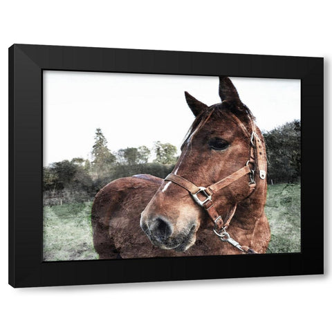Horse Pose Black Modern Wood Framed Art Print with Double Matting by Villa, Mlli