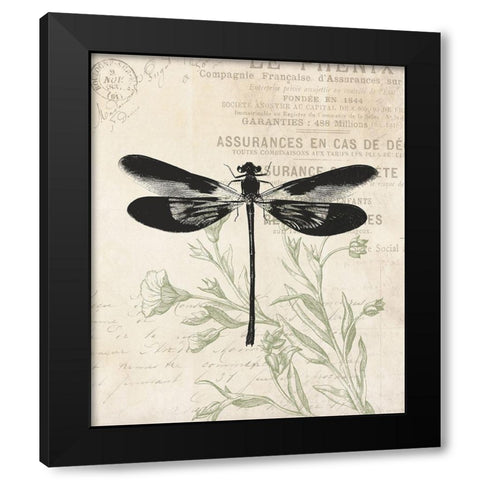 Vintage Insects Black Modern Wood Framed Art Print with Double Matting by Villa, Mlli