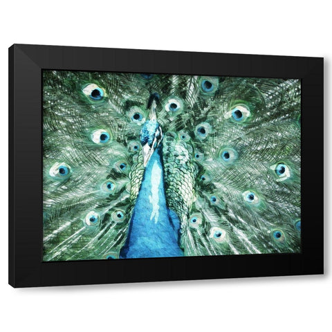 Looking Peacock Black Modern Wood Framed Art Print by Villa, Mlli
