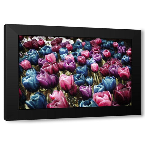 Colorful Tulips Black Modern Wood Framed Art Print by Villa, Mlli