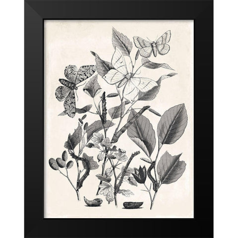 Flower And Bugs Black Modern Wood Framed Art Print by Villa, Mlli