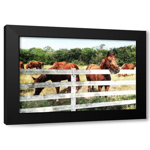 Horse Farm Black Modern Wood Framed Art Print with Double Matting by Villa, Mlli