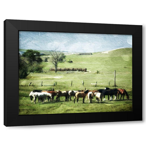 Round Them Up Again Black Modern Wood Framed Art Print with Double Matting by Villa, Mlli