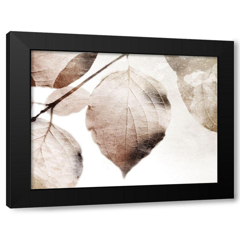 Soft Neutral Leaves Black Modern Wood Framed Art Print with Double Matting by Villa, Mlli