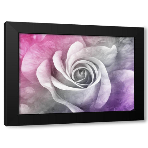 Look At That Rose Black Modern Wood Framed Art Print by Villa, Mlli