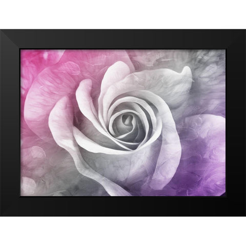 Look At That Rose Black Modern Wood Framed Art Print by Villa, Mlli
