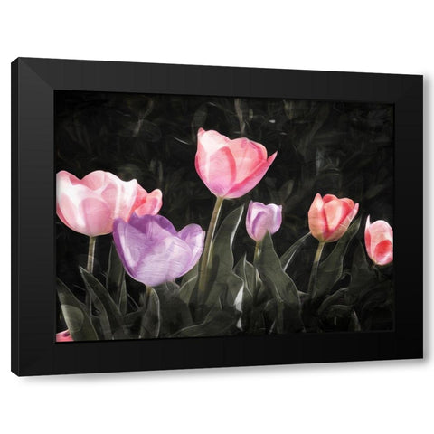 Tulips In The Dark Black Modern Wood Framed Art Print by Villa, Mlli