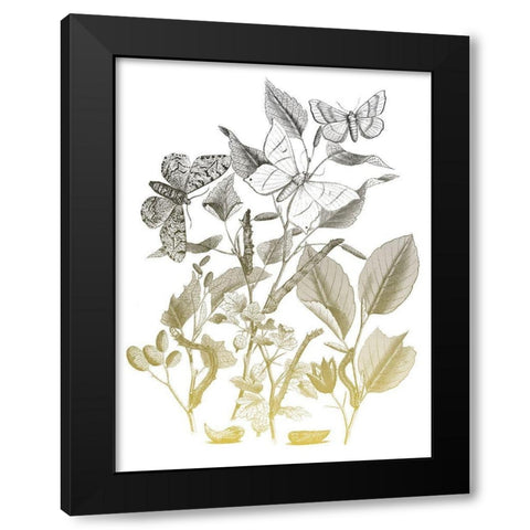Flower and Bugs A Black Modern Wood Framed Art Print by Villa, Mlli