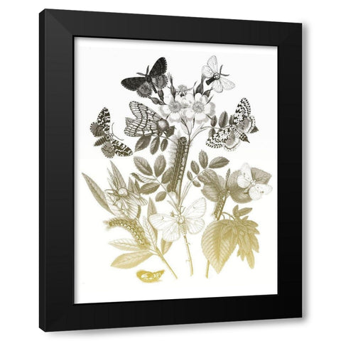 Flower and Bugs B Black Modern Wood Framed Art Print by Villa, Mlli