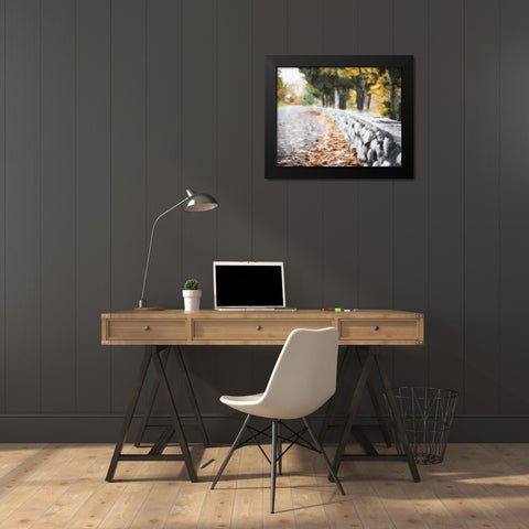 Leaves On The Road Black Modern Wood Framed Art Print by Villa, Mlli