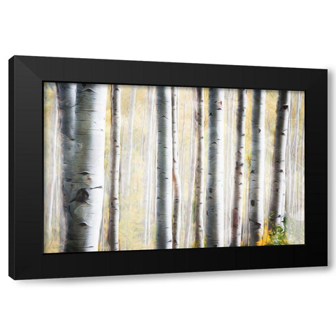 Birch Family Black Modern Wood Framed Art Print with Double Matting by Villa, Mlli