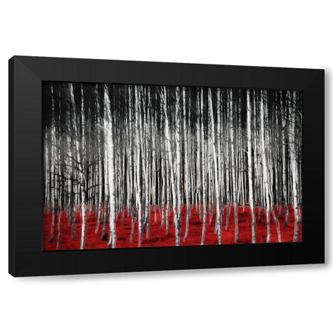 Birch In The Woods At Night Black Modern Wood Framed Art Print with Double Matting by Villa, Mlli