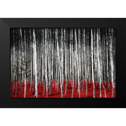 Birch In The Woods At Night Black Modern Wood Framed Art Print by Villa, Mlli