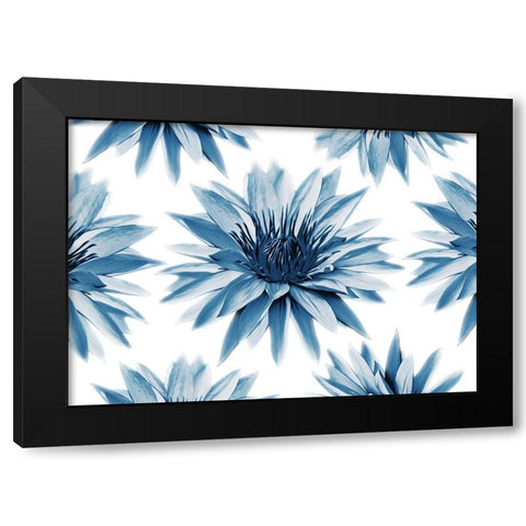Hypnotizing Flowers Black Modern Wood Framed Art Print with Double Matting by Villa, Mlli
