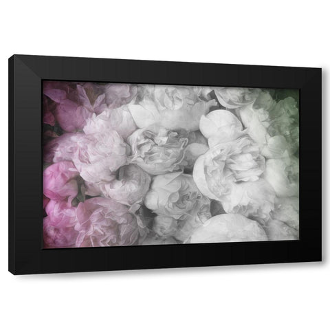 White to Pink Flowers Black Modern Wood Framed Art Print with Double Matting by Villa, Milli