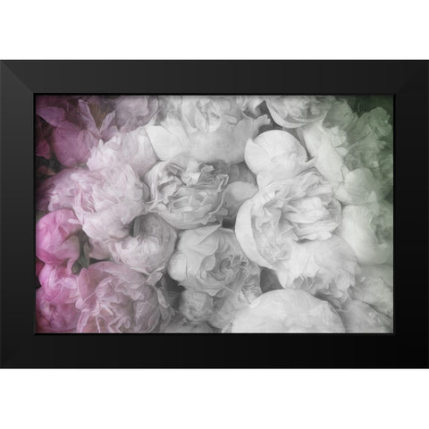 White to Pink Flowers Black Modern Wood Framed Art Print by Villa, Milli