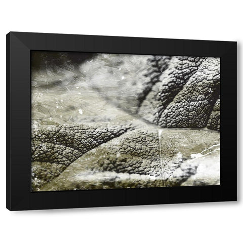 Charcoal Leaves Black Modern Wood Framed Art Print by Villa, Mlli