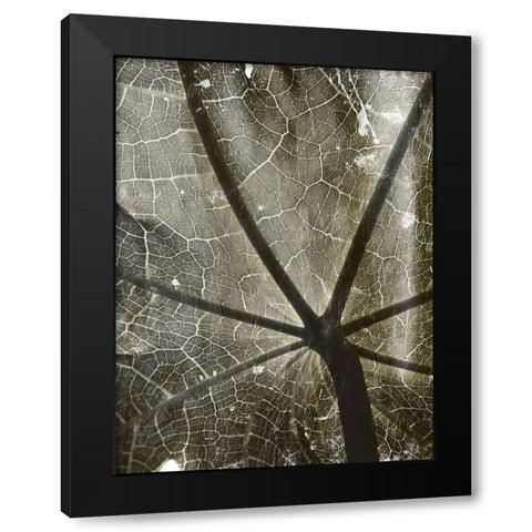 Leaf Umbrella Black Modern Wood Framed Art Print with Double Matting by Villa, Mlli