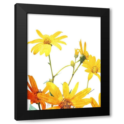 Vibrant Flowers Black Modern Wood Framed Art Print by Villa, Mlli