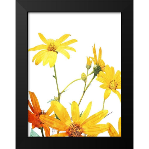 Vibrant Flowers Black Modern Wood Framed Art Print by Villa, Mlli
