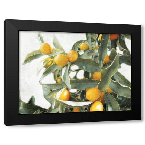 Lemons Black Modern Wood Framed Art Print with Double Matting by Villa, Mlli